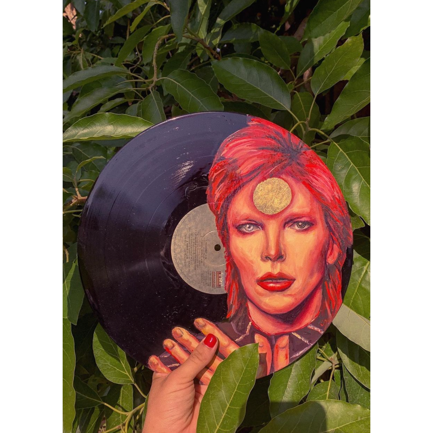 David Bowie Vinyl - Perry Picasshoe Official Site