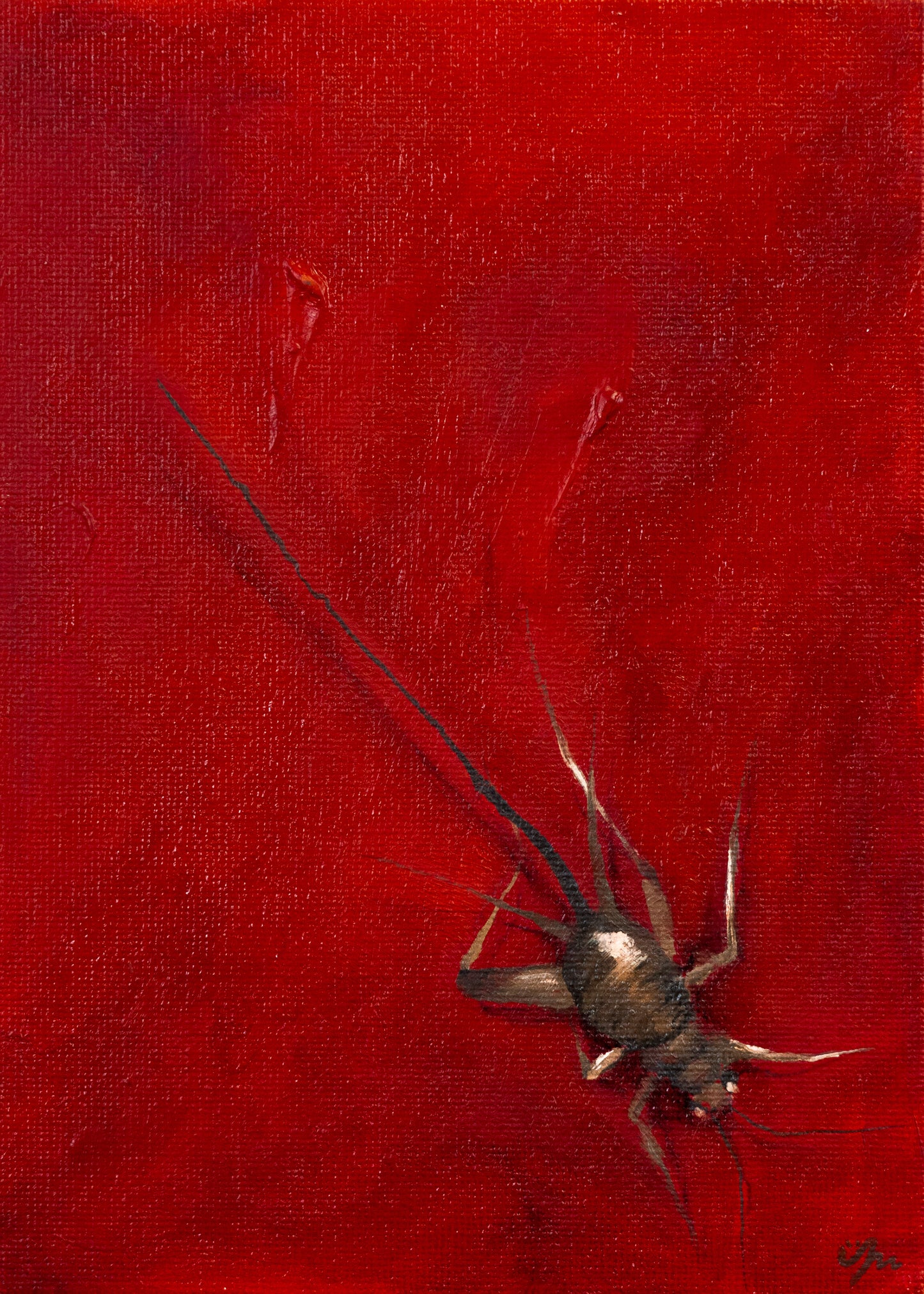 A Cricket Is Good Luck  Postcard