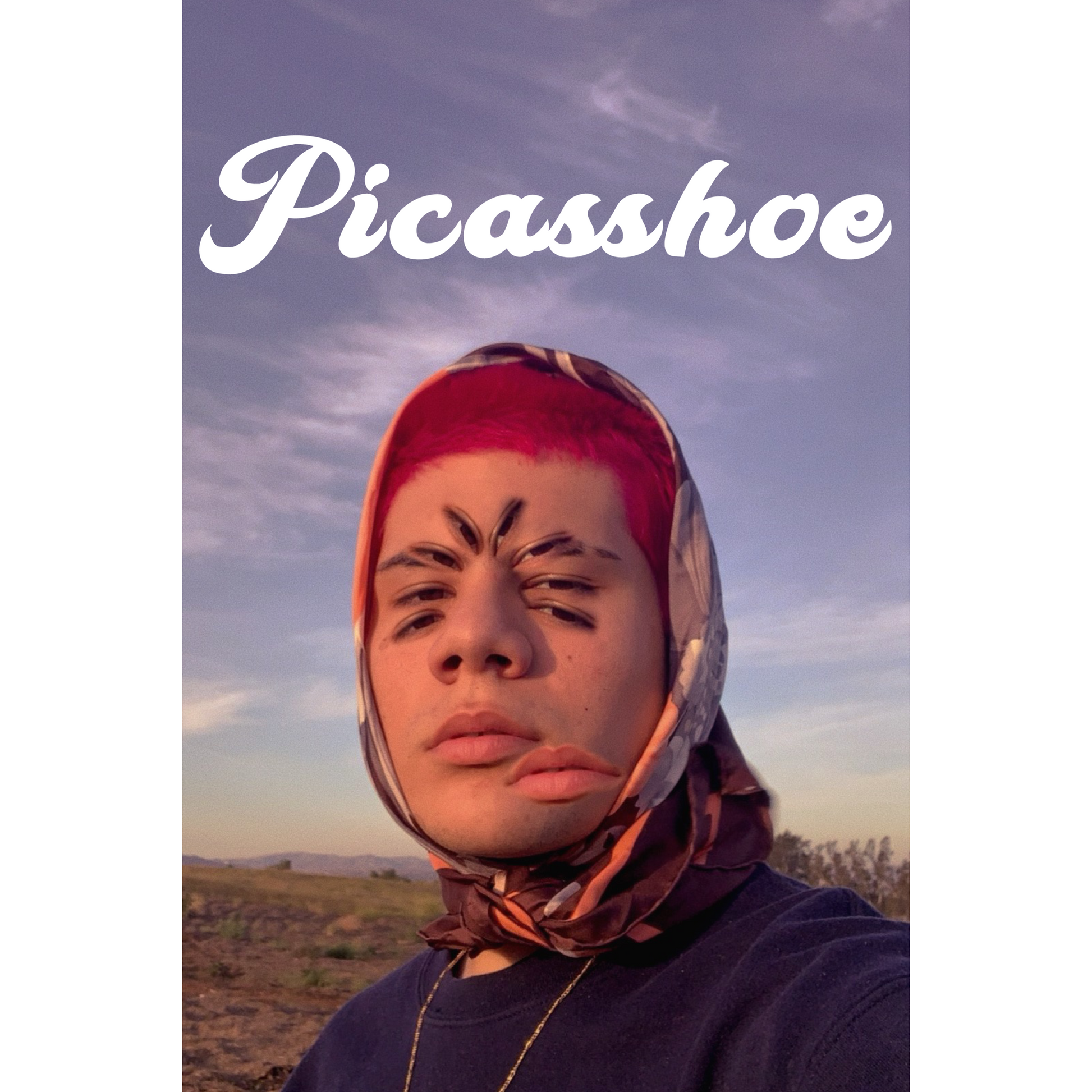 Picasshoe Sticker - Picasshoe Clothing