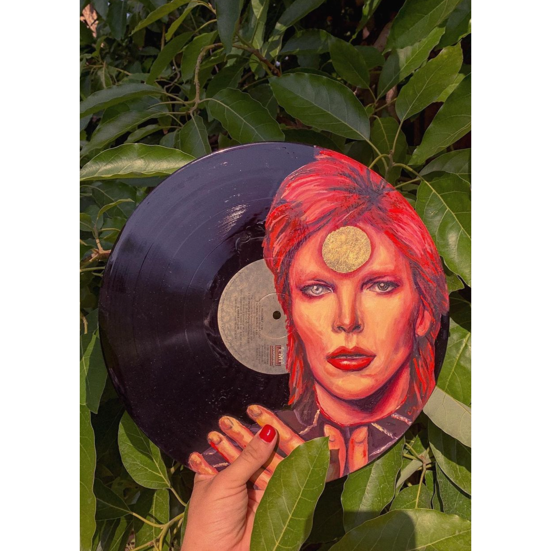 David Bowie Vinyl - Perry Picasshoe Official Site